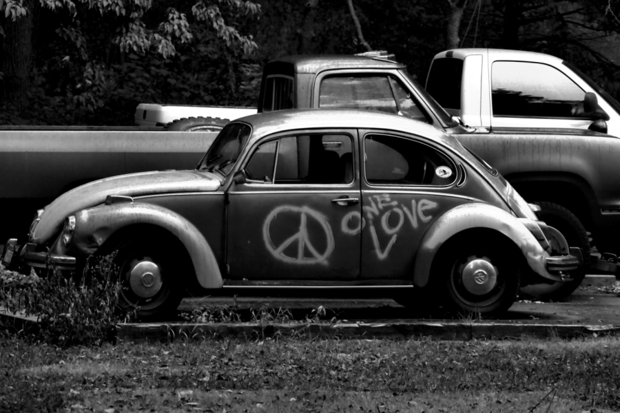 2010 08 12 IMG 04836bw2
